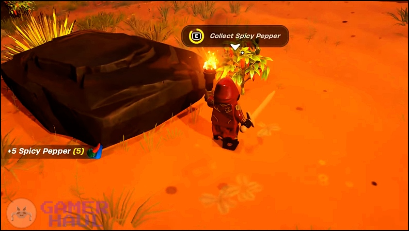 Player character collecting Spicy Pepper from the desert in LEGO Fortnite.