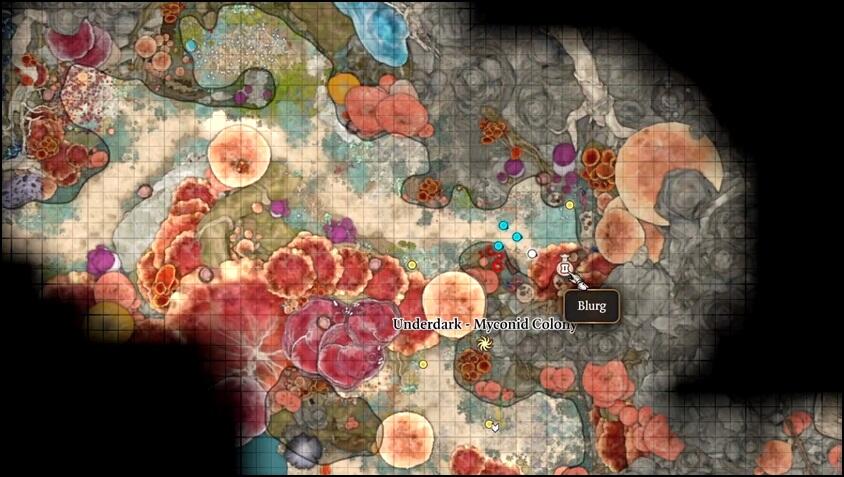 Boots of Genial Striding merchant map location in Baldur's Gate 3 (BG3).