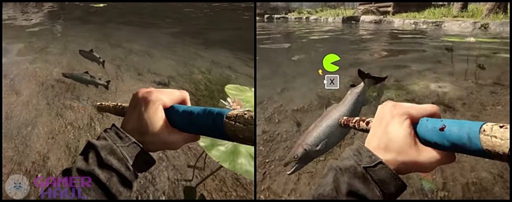 Catching Fish with Spear in Sons of the Forest